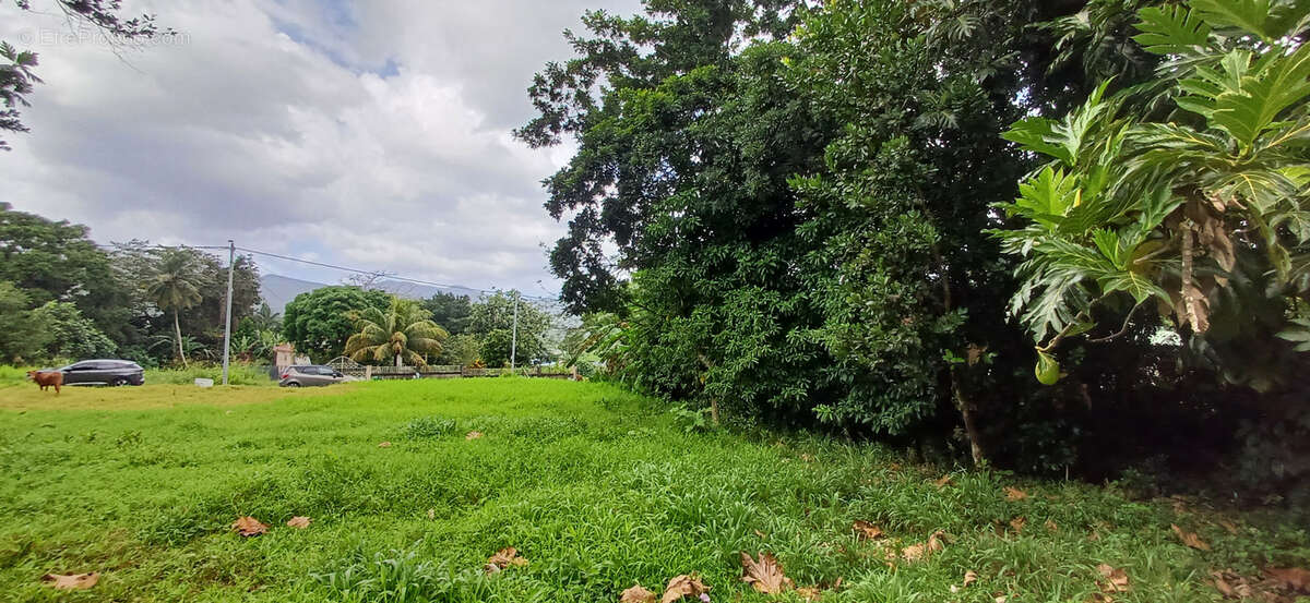 Terrain à LAMENTIN