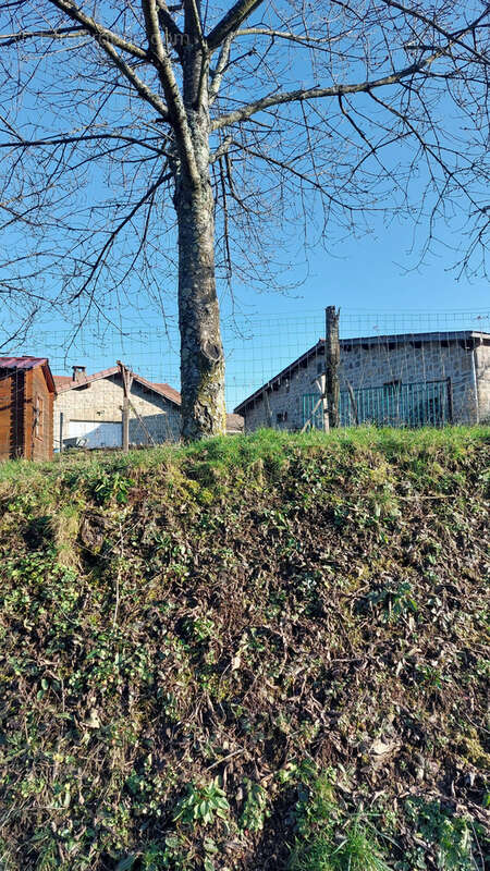 Maison individuelle en pierre et batiment ferme auberge - photo 21