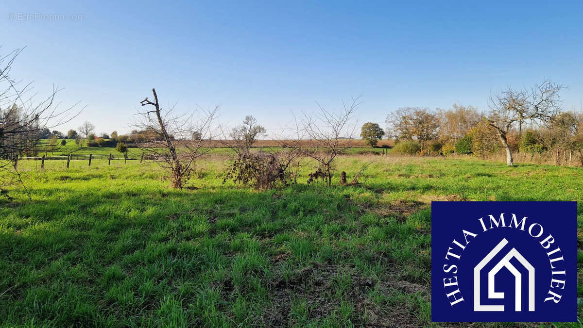 Terrain à COURCELLES-LES-SEMUR
