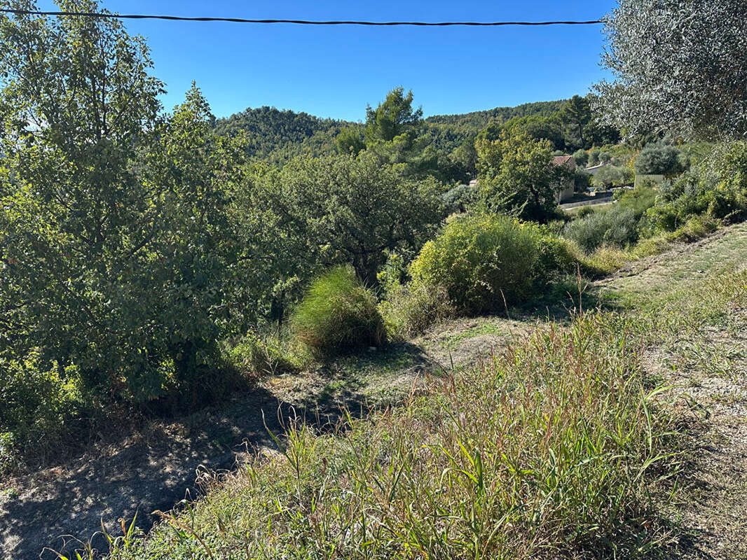 Terrain sur les hauteurs de Callian - photo 3