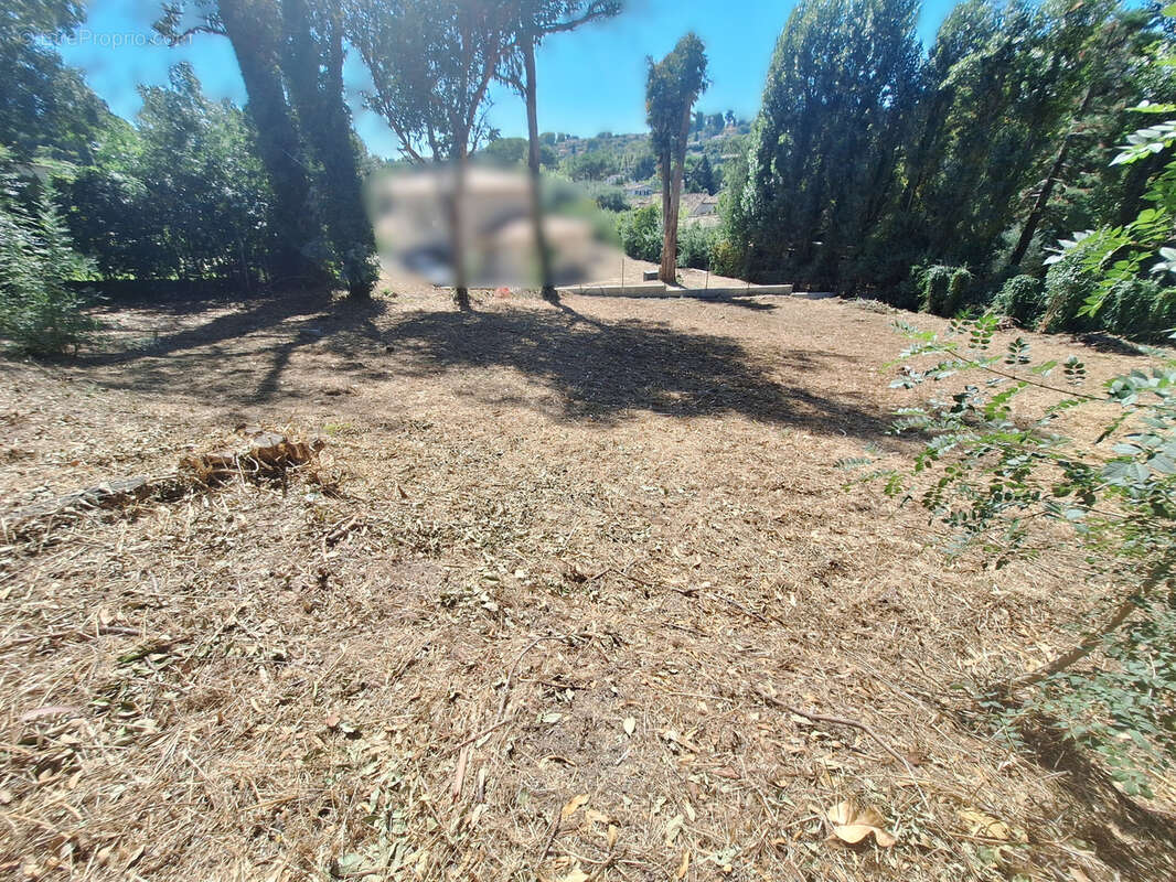 Terrain à SAINT-PAUL