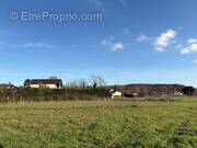 Terrain à ANTONNE-ET-TRIGONANT