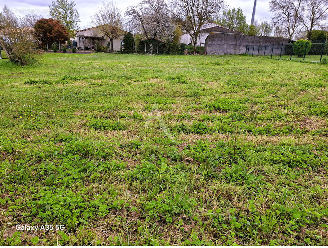 Terrain à L'ISLE-JOURDAIN