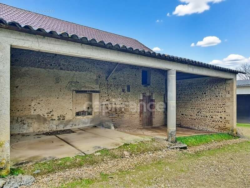 Dpt Pyrénées Atlantiques (64), à vendre PROCHE ARZACQ - MALAUSSANNE maison P6 177 m², 1 appartement de 60 m² sur un terrain de 8 - photo 20
