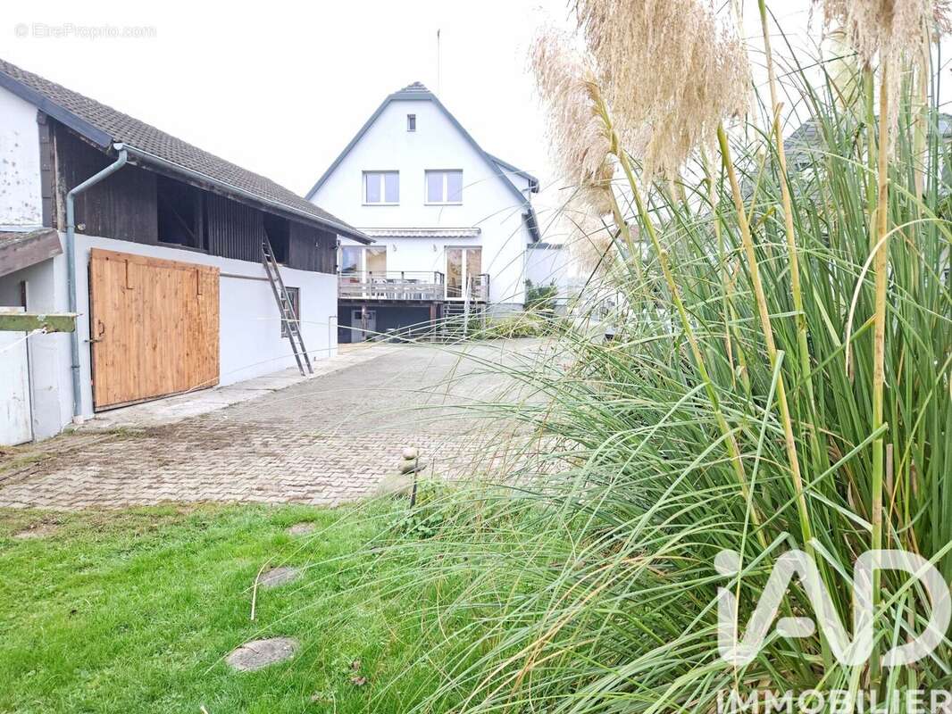 Photo 7 - Maison à SOUFFLENHEIM