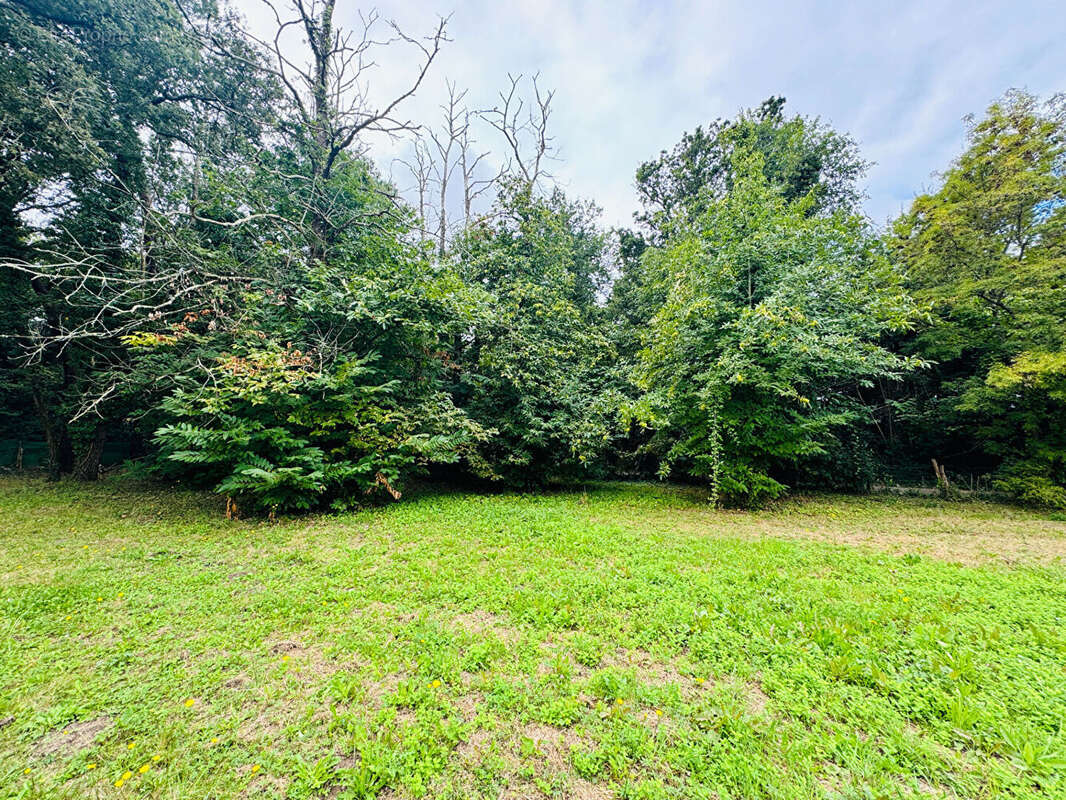 Terrain à SAINT-PALAIS-SUR-MER