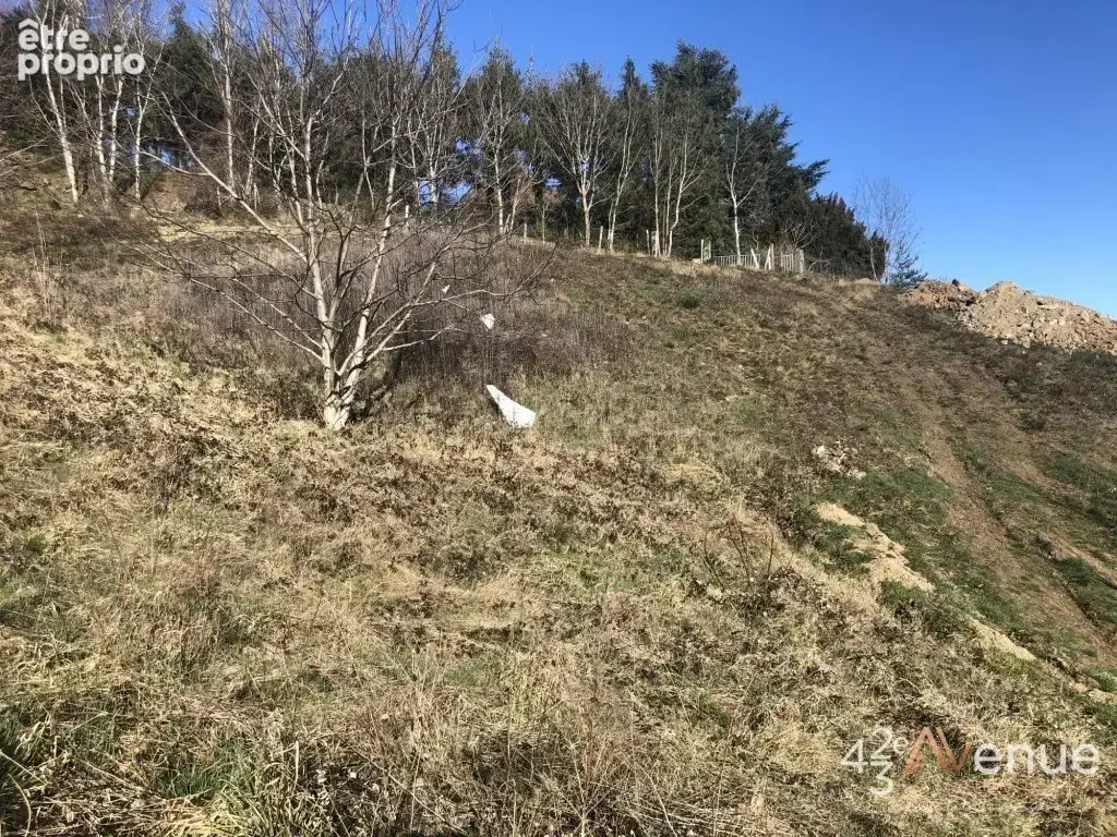 Terrain 1 246 m² à vendre à Saint-Ferreol-D'auroure (43330) - photo 3