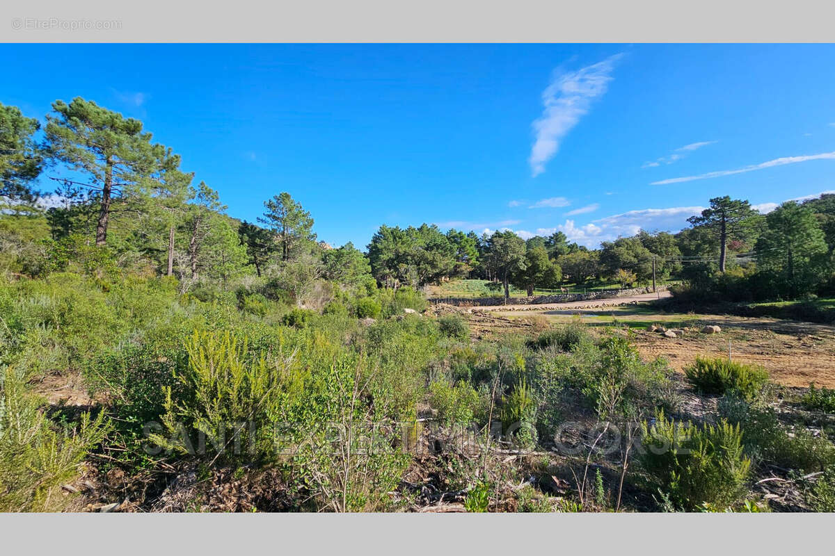 Terrain à SARI-SOLENZARA