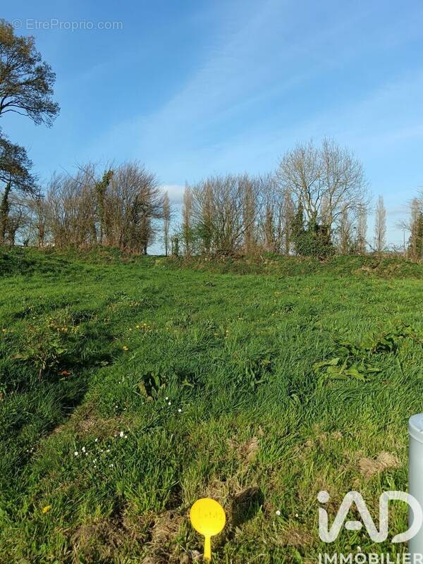 Photo 1 - Terrain à SAINT-GERMAIN-D'ELLE