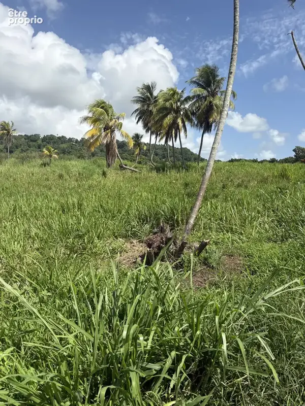 Terrains à bâtir avec vue dégagée sur la montagne et la mer - photo 4