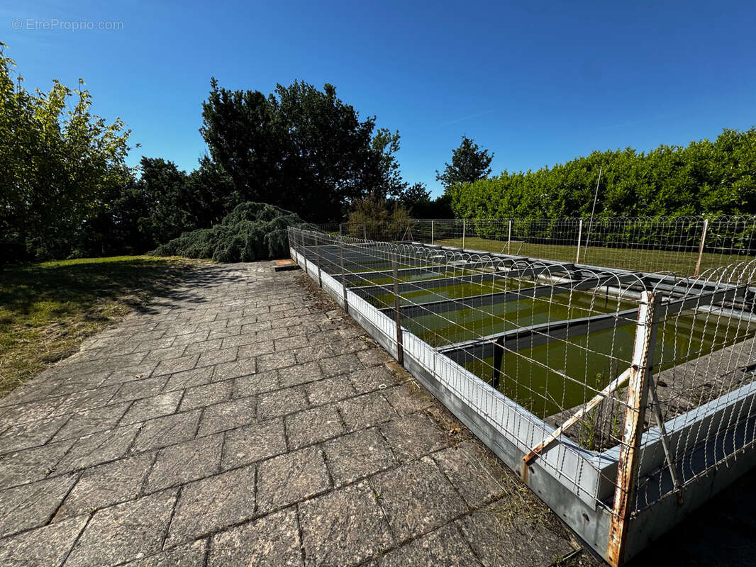 Maison de 222m2 avec terrain de 5712m2 - photo 5