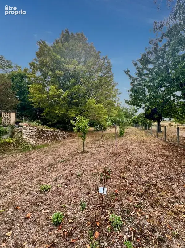 Maison lumineuse avec grand sous-sol, jardin arboré et verger - photo 9