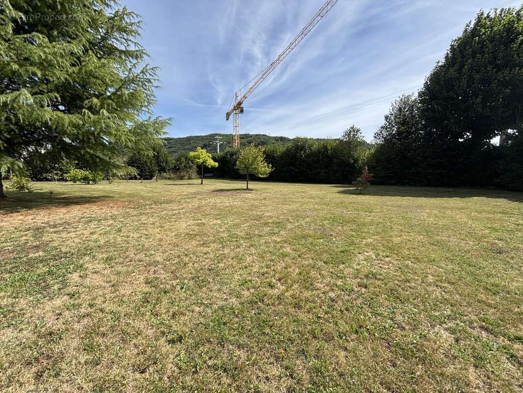 Terrain à COLOMBE