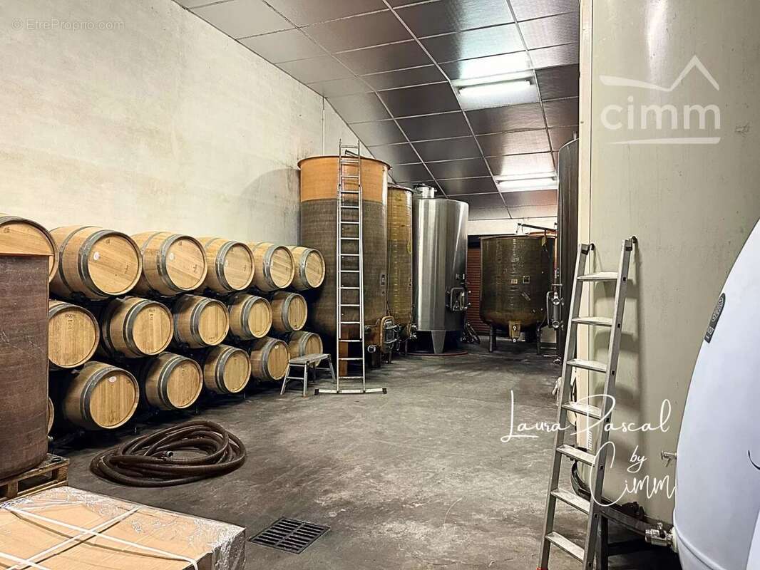 Maison à PLEINE-SELVE