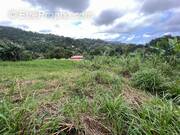 Terrain à LE LORRAIN