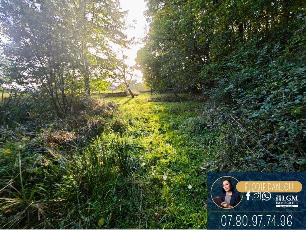 Maison à SAINT-HILAIRE-LA-GRAVELLE