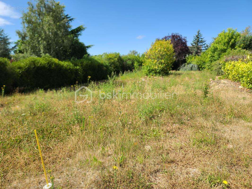 Terrain constructible de 1015m2 - photo 3