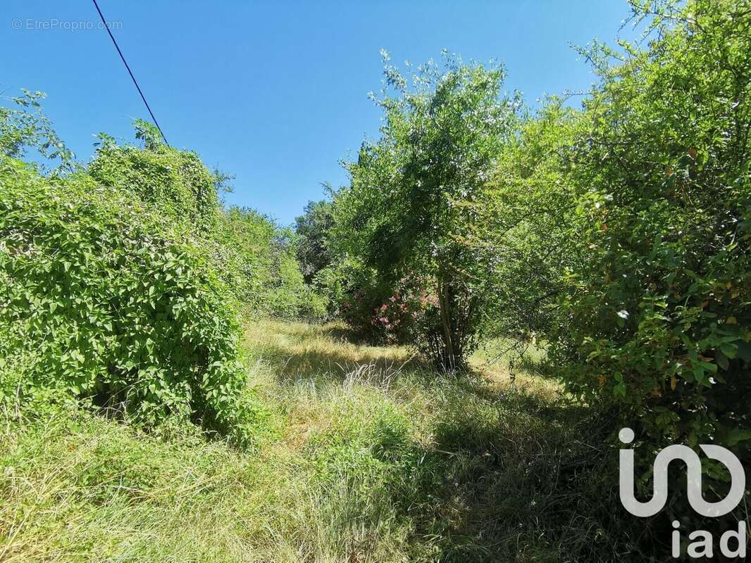 Photo 4 - Terrain à CENNE-MONESTIES
