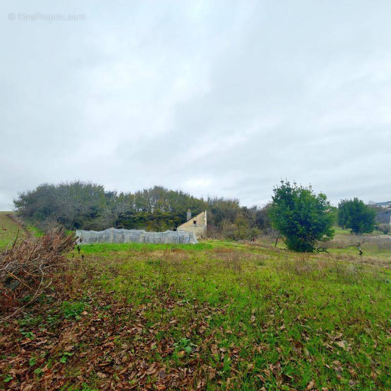 Terrain à SAINT-CHRISTOPHE-SUR-LE-NAIS