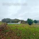 Terrain à SAINT-CHRISTOPHE-SUR-LE-NAIS