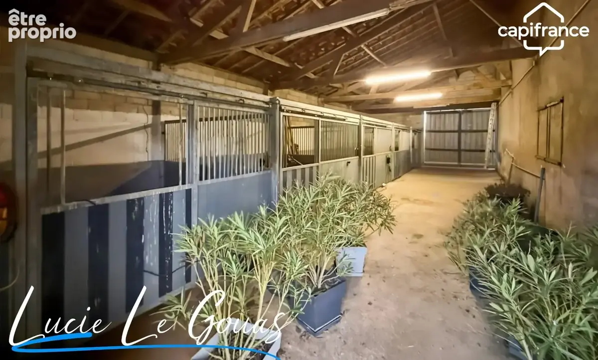 Ferme équestre - photo 28