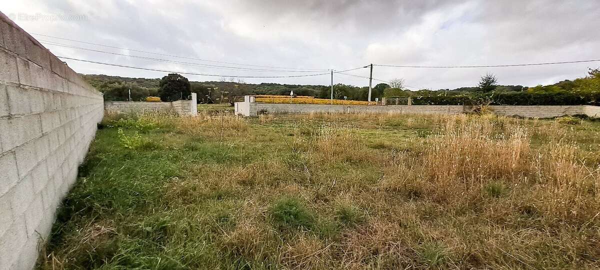 Photo 2 - Terrain à LEZIGNAN-LA-CEBE