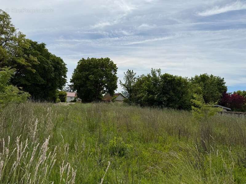 Terrain à ARCEAU