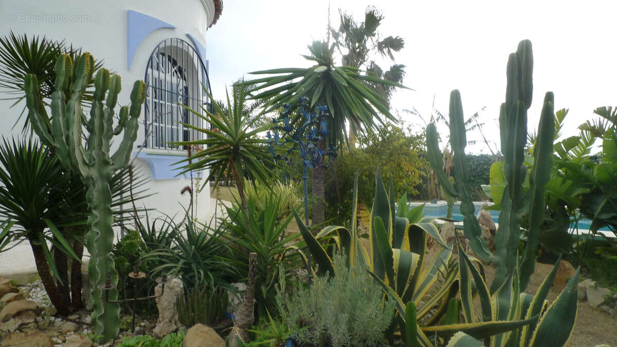 Maison 250 m² à Hermanville-Sur-Mer  - photo 4