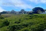 Terrain à SAINT-DENIS-D&#039;OLERON