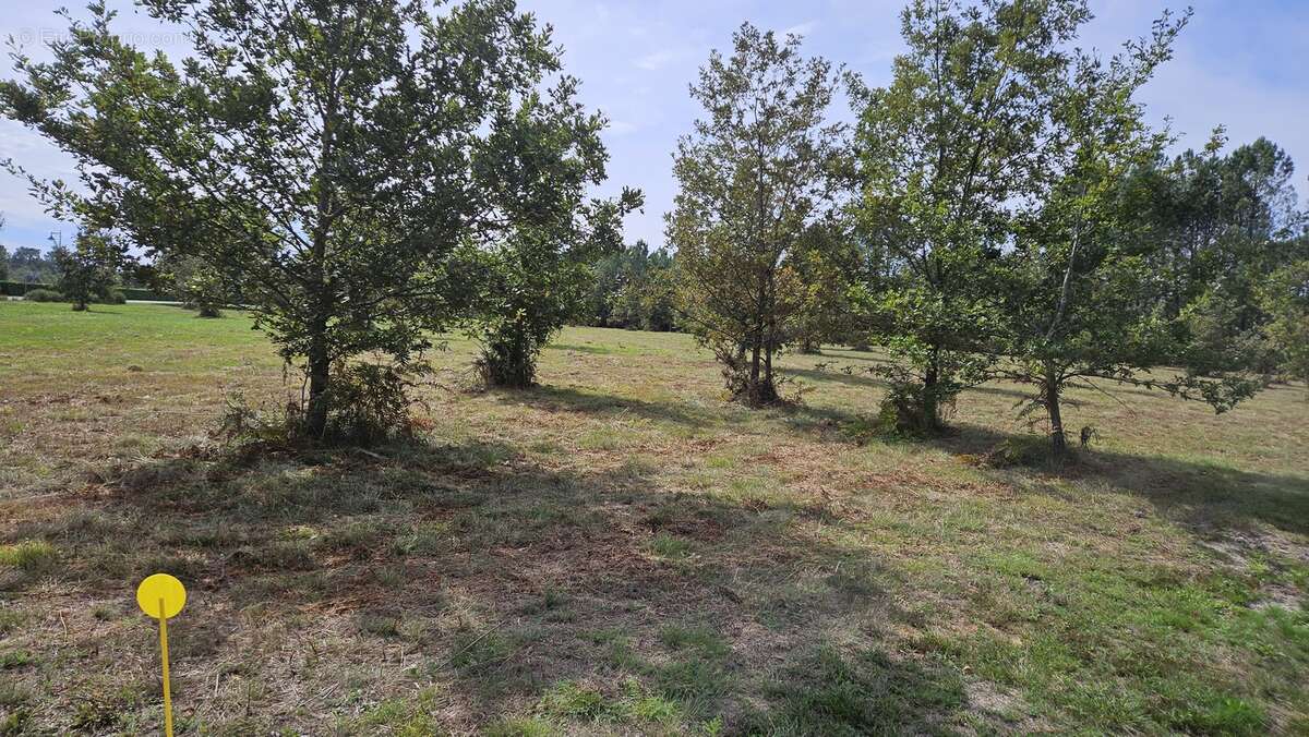 Photo-2023/101042-1-2 - Terrain à CACHEN