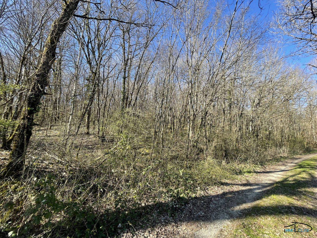 Terrain à VILLEFRANCHE-DE-ROUERGUE