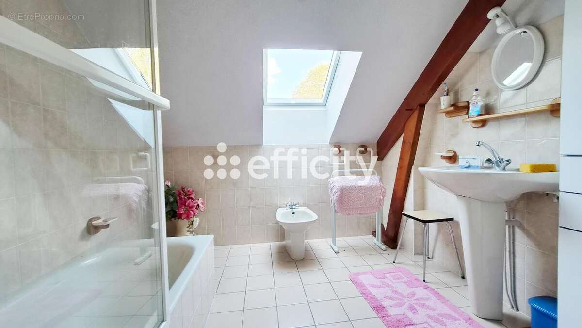 Maison 207 m² à Le Loroux-Bottereau  - photo 17