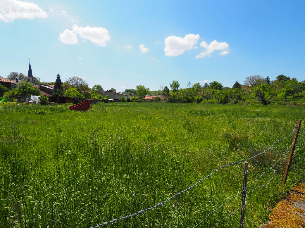 Terrain à BOUXURULLES