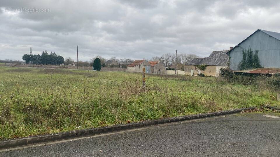 Terrain à SAVIGNE-SUR-LATHAN