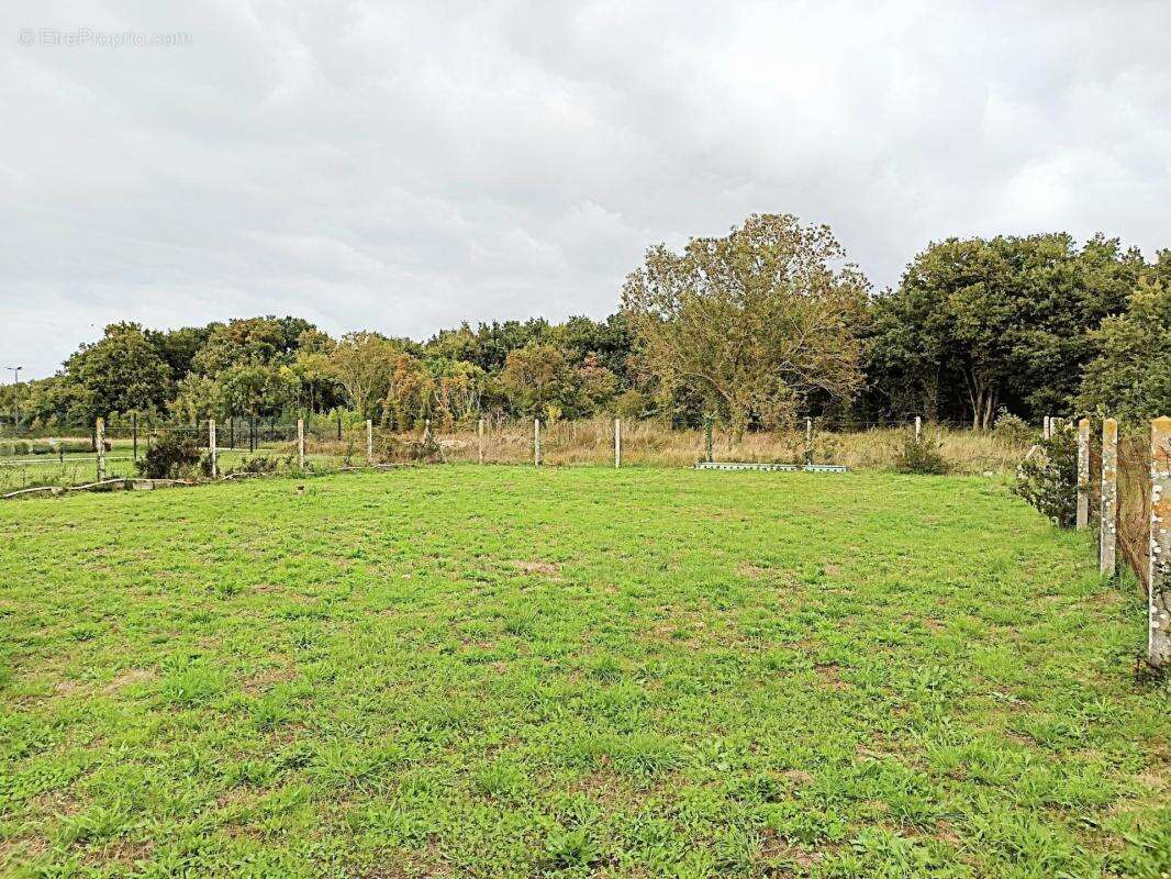 Maison à BOURCEFRANC-LE-CHAPUS