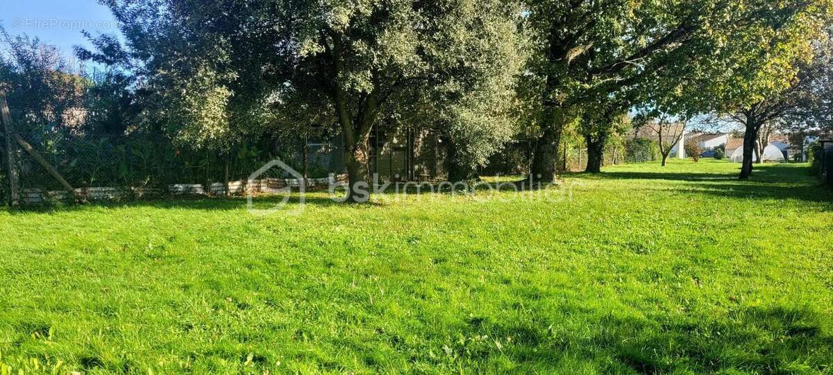 Terrain à LES MATHES