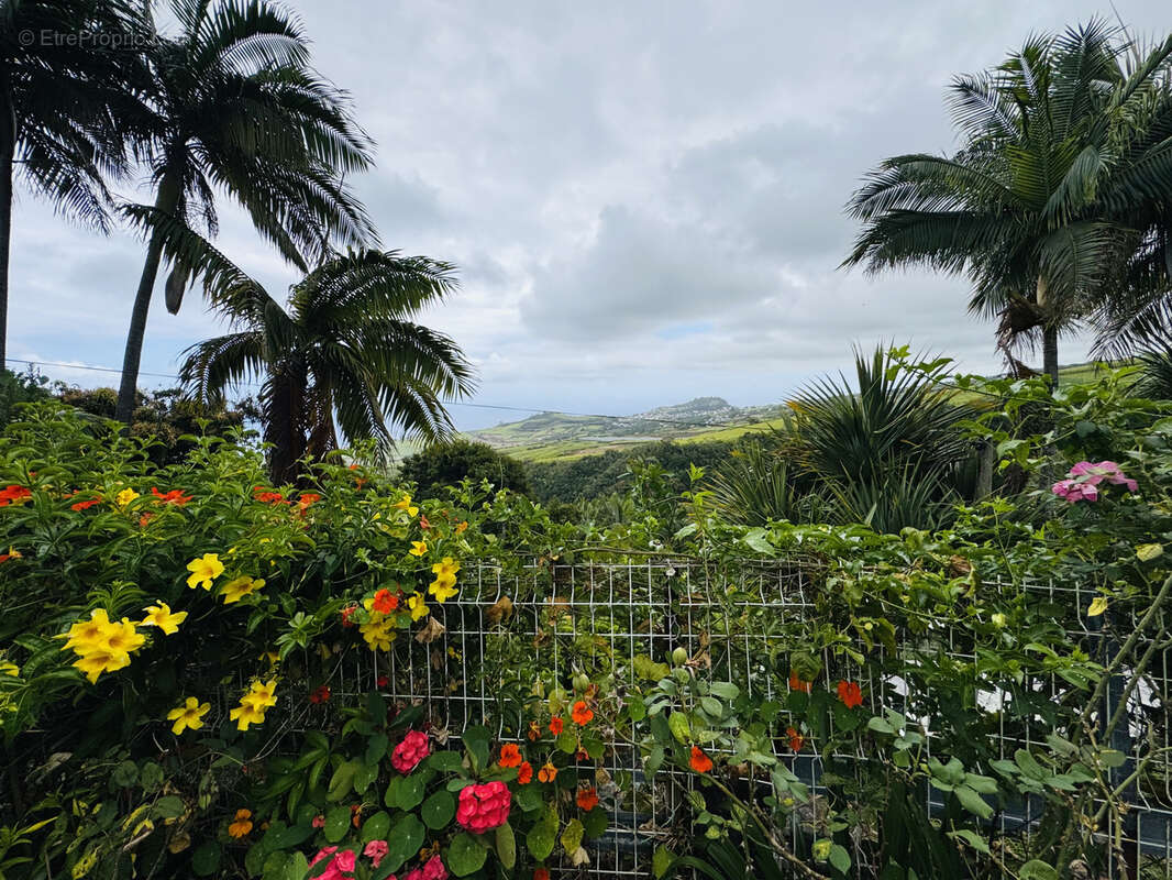 Maison à SAINT-JOSEPH