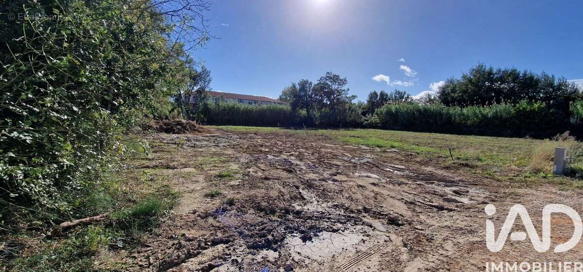 Photo 3 - Terrain à BAHO