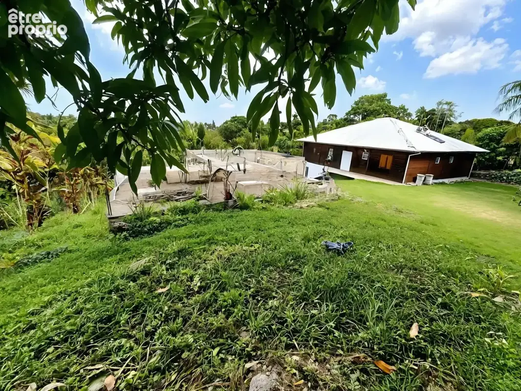 Maison T3 à achever à vendre SAINTE ANNE RICHER (971) - photo 6