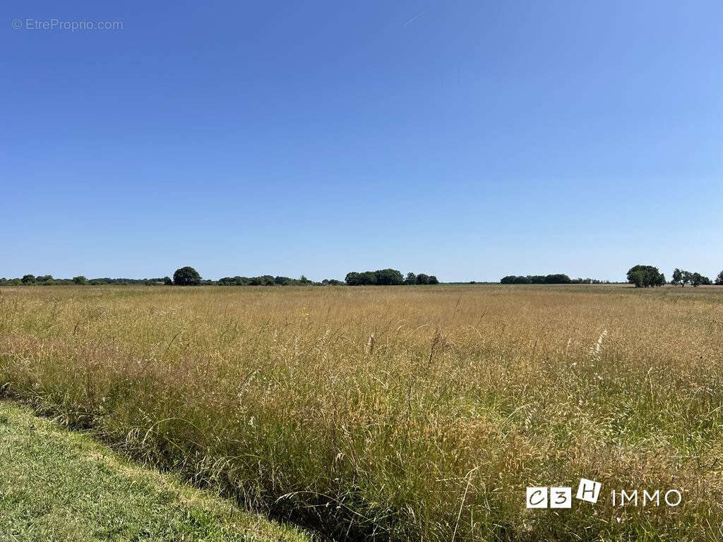 Terrain à CAMBERNARD