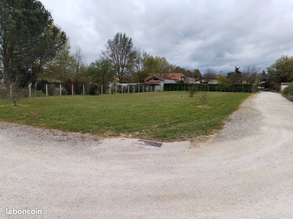 Terrain à ALBIAS