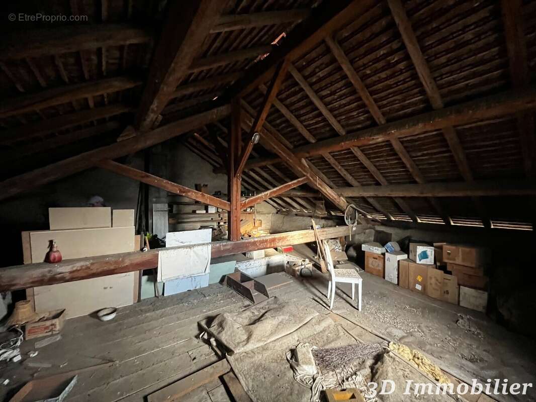 Maison 450 m² à Douvaine  - photo 7