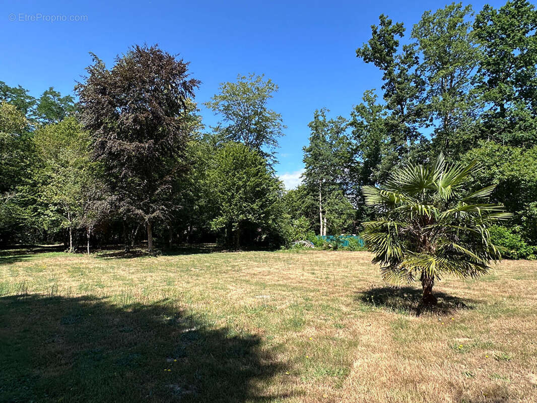 Maison 180m² à noisy-sur-école - photo 10