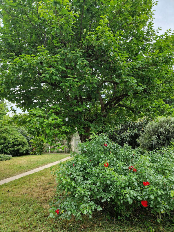 Maison à VILLENEUVE-SUR-LOT