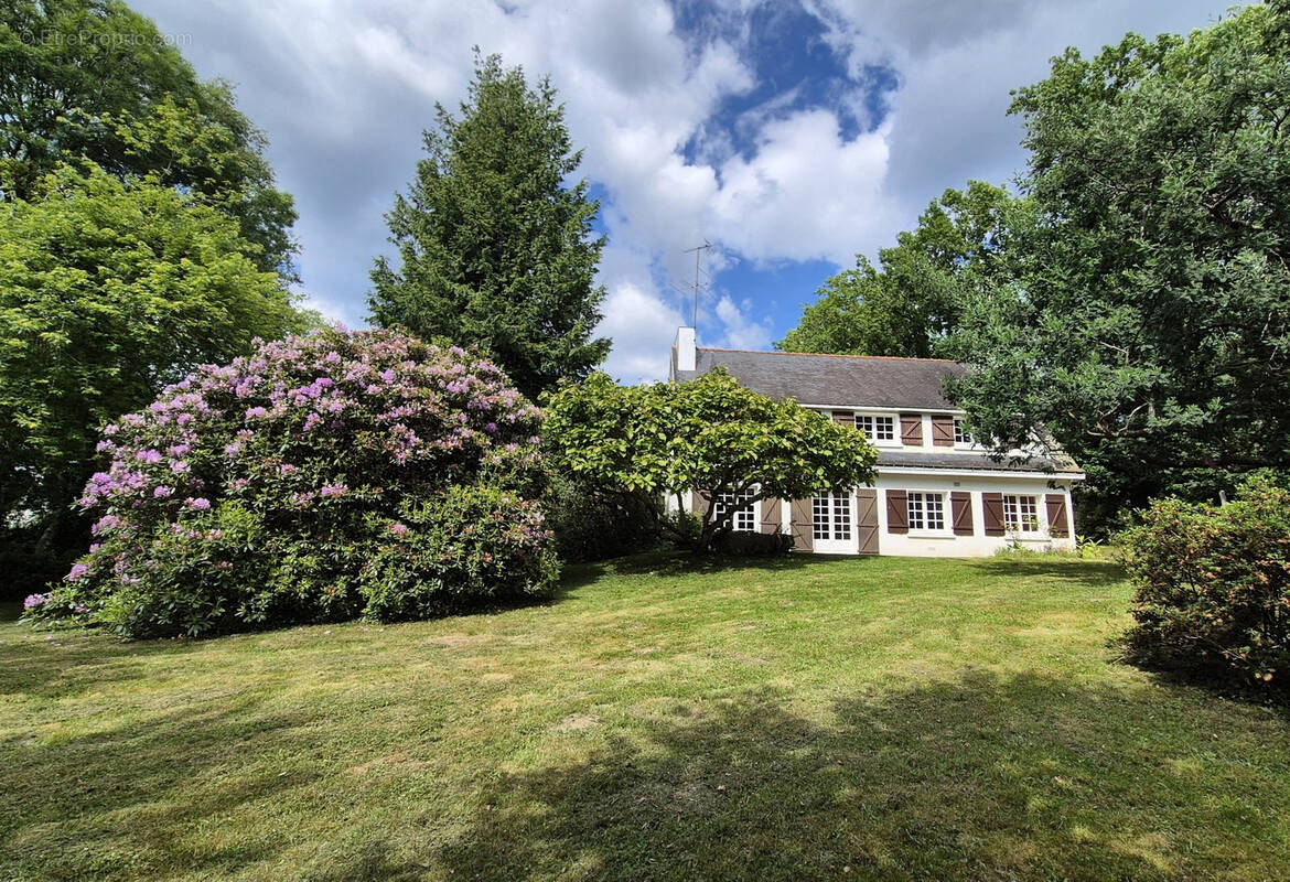 Maison à MOELAN-SUR-MER