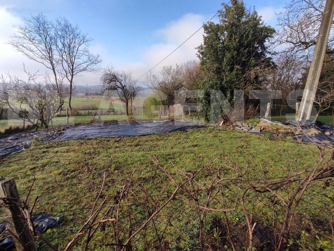 IMG_20241227_142023 - Maison à BAIS