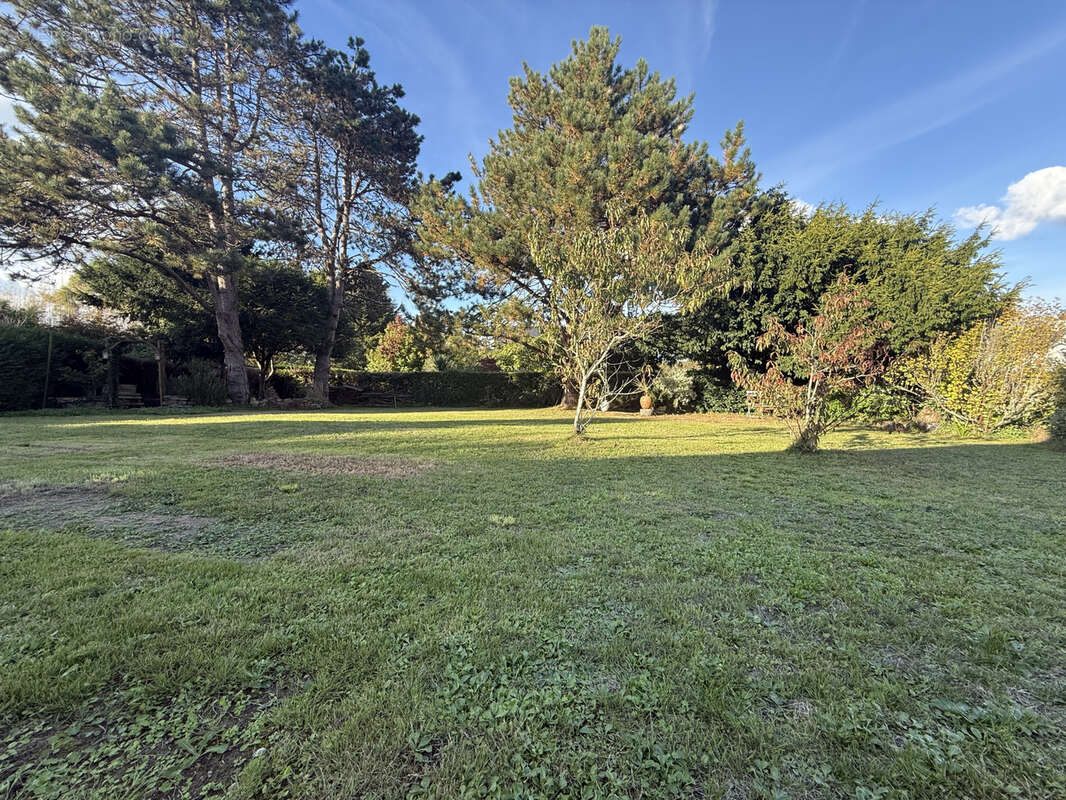 Terrain à CLOHARS-CARNOET