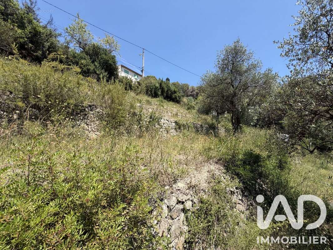 Terrain 1370 m² à Drap  - photo 4