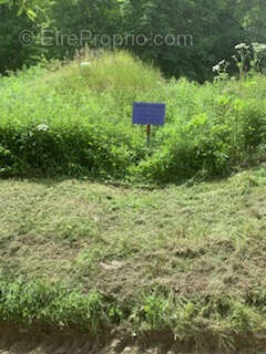 Terrain à SAINT-SORLIN-D'ARVES