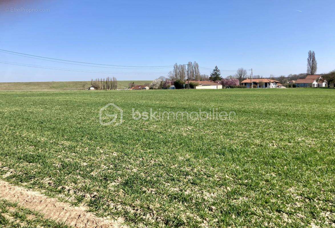 Terrain à GIFFAUMONT-CHAMPAUBERT